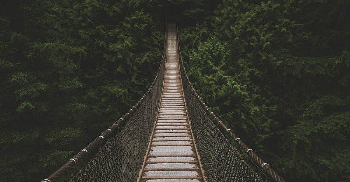 An empty suspension bridge leading to a dense forest. Original public domain image from Wikimedia Commons